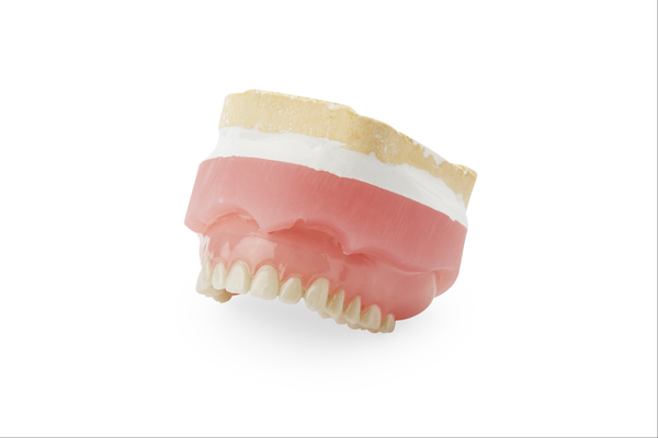 Denture Base Resin -  Rotrosa (RP)